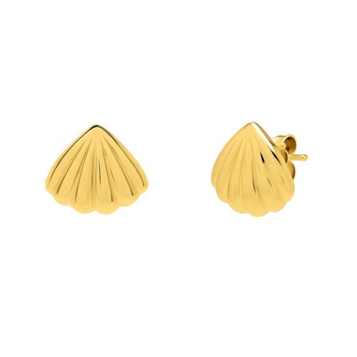 Sea Shell Studs